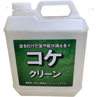 HORIE Corporation 【苔除去・抑制剤】コケクリーン 4kg ポリ容器入り HORIE-KC（直送品）