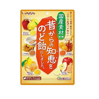 扇雀飴　昔からの知恵をのど飴にしました　1個