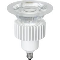 LED光漏れハロゲン100W形調光35° LDR10LWE11DH ヤザワコーポレーション（直送品）