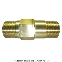 IBS チェックバルブ CAMシリーズ CAMT2VーE 1個（直送品）