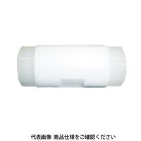 IBS チェックバルブ C5シリーズ C5ー6ーK 1個（直送品）