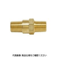IBS チェックバルブ C/CFシリーズ CB1E 1セット(2個)（直送品）
