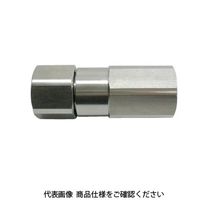 IBS チェックバルブ CHシリーズ CHT2