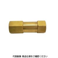 IBS チェックバルブ C/CFシリーズ CFB2V 1個（直送品）