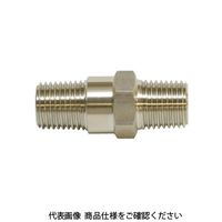 IBS チェックバルブ C/CFシリーズ CT2S 1個（直送品）
