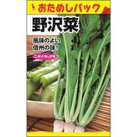 ニチノウのタネ 野沢菜（おためしパック） 日本農産種苗 4960599256102 1セット（10袋入）（直送品）