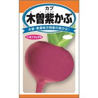 ニチノウのタネ　木曽紫かぶ　4960599263506　日本農産種苗　1セット（5袋入）（直送品）