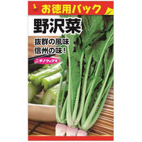 ニチノウのタネ 野沢菜（徳用） 日本農産種苗 4960599220202 1セット（5袋入）（直送品）