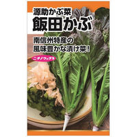 ニチノウのタネ 飯田かぶ（源助かぶ菜） 日本農産種苗 4960599240804 1セット（5袋入）（直送品）