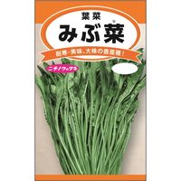 ニチノウのタネ みぶ菜 日本農産種苗 4960599247407 1セット（5袋入）（直送品）