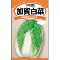 j`mẼ^l ꔒ؁i90^j {_Yc 4960599247308 1Zbgi5ܓjiij