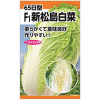 ニチノウのタネ F1新松島白菜 日本農産種苗 4960599232106 1セット（3袋入）（直送品）