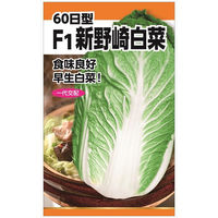 ニチノウのタネ F1新野崎白菜 日本農産種苗 4960599232304 1セット（3袋入）（直送品）