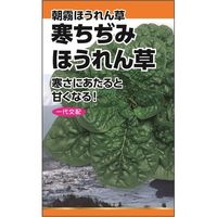 ニチノウのタネ 寒ちぢみ（朝霧ほうれん草） 日本農産種苗 4960599236807 1セット（5袋入）（直送品）