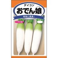 ニチノウのタネ 一代交配 おでん娘（ダイコン） 日本農産種苗 4960599240408 1セット（3袋入）（直送品）