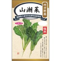 ニチノウのタネ 地方野菜 山潮菜 日本農産種苗 4960599246301 1セット（5袋入）（直送品）