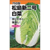 ニチノウのタネ 菜葉 日本農産種苗