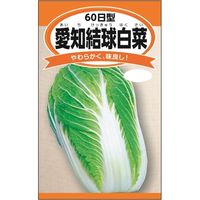 ニチノウのタネ 愛知結球白菜（60日型） 日本農産種苗 4960599247100 1セット（5袋入）（直送品）
