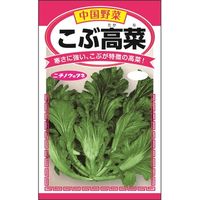 ニチノウのタネ こぶ高菜 日本農産種苗 4960599249401 1セット（5袋入）（直送品）