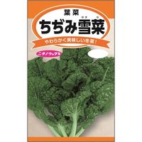 j`mẼ^l ݐ {_Yc 4960599257505 1Zbgi5ܓjiij