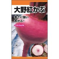 ニチノウのタネ 大野紅かぶ 日本農産種苗 4960599258106 1セット（5袋入）（直送品）