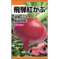 ニチノウのタネ 飛騨紅かぶ 日本農産種苗 4960599258205 1セット（5袋入）（直送品）