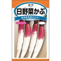 ニチノウのタネ 日野菜かぶ 日本農産種苗 4960599258304 1セット（5袋入）（直送品）