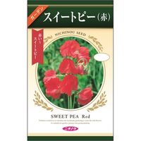 ニチノウのタネ スイートピー（赤） 日本農産種苗 4960599312686 1セット（5袋入）（直送品）