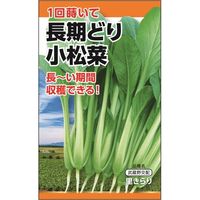 ニチノウのタネ 菜葉 日本農産種苗