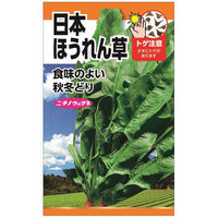 ニチノウのタネ　日本ほうれん草　4960599264909　日本農産種苗　1セット（5袋入）（直送品）