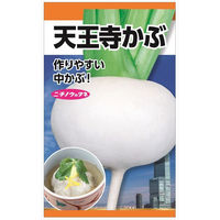 ニチノウのタネ 天王寺かぶ 日本農産種苗 4960599248107 1セット（5袋入）（直送品）