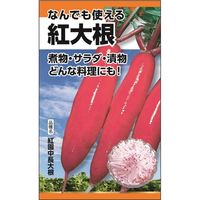 ニチノウのタネ なんでも使える紅大根（赤とんぼ） 日本農産種苗 4960599248909 1セット（3袋入）（直送品）