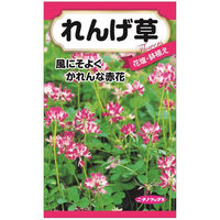 ニチノウのタネ れんげ草 日本農産種苗 4960599411587 1セット（5袋入）（直送品）