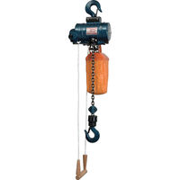 日本ニューマチック工業 NPK エアーホイスト 定格荷重500Kg 引きひも式 10813 RHL-500 1台(1個) 321-0898（直送品）