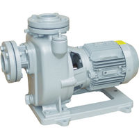 寺田 陸上ポンプ セルプラポンプ 全閉外扇屋外形電動機付 60Hz 0.75kW 全揚程15m MPJ3-60.71E 1台（直送品）