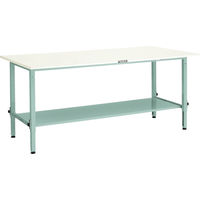 AEM-1800LT2 W（直送品）