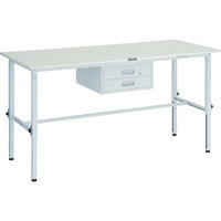 RAEM-1800F2 W（直送品）