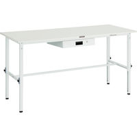 RAEM-1809UDK1 W（直送品）