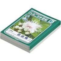 ショウワノート 自由帳 10冊入 JL-71（直送品）