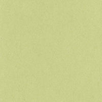 リンテック 色画用紙 ニューカラーR 八切 やなぎ NCR1068 1包（100枚入）