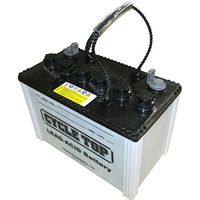 【電動車・産業機器用品】昭和電工マテリアルズ 電動車バッテリーサイクルサービス用鉛蓄電池 HI-EB65-H80-L 1個（直送品）
