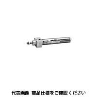 コガネイ クリーン機器スリムシリンダ CSーDAB32X250ー2ーZG530A2 1個（直送品）