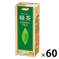 【アウトレット】エルビー　緑茶　200ml　お茶　パック飲料　紙パック　1セット（30本入×２）
