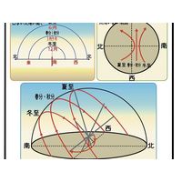 ナリカ 1年の太陽の動き（説明ボード） N65-2510-33 1セット（3セット）（直送品）