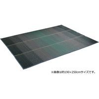 イケヒコ・コーポレーション NCXクリア BL 60×180cm 1070480041103 1枚