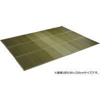 イケヒコ NCXクリア い草ラグ 1900×3000mm グリーン 1070480125003 1枚（直送品）