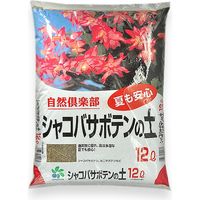 自然応用科学 シャコバサボテンの土 12L 2057290 1袋（直送品）