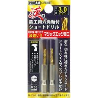 豊光 437030ST 漢の鉄工ショートドリル 3.0mm 2個入り　1パック(2個)（直送品）