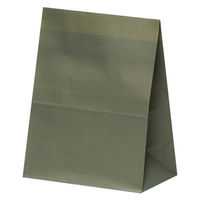 【アウトレット】【紙袋】ハイバッグ（角底袋） H200 ヴェルデ XZT01070 1袋（100枚入）パックタケヤマ　【終売品】