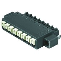 BCF 3.81/06/180F SN BK BX - 1971650000（直送品）